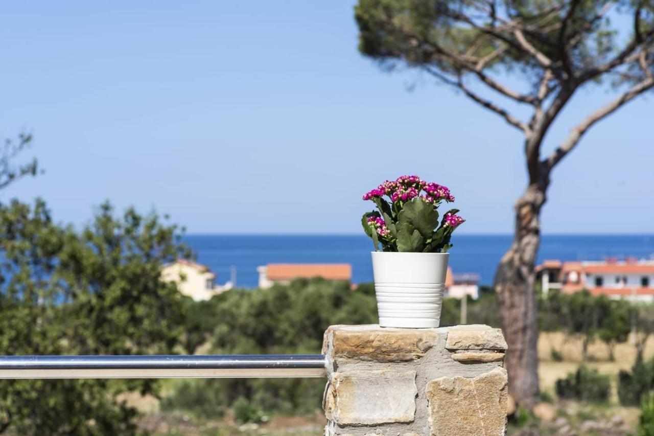 B&B Il Sogno Santa Maria di Castellabate Exterior photo